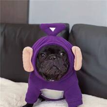 ���ﹷ���ﶬ�¿���ⷨ���»���Ȯ����Ӣţ�����쾀�����Ӻ����