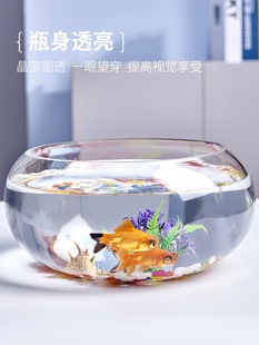 New Modern Indoor Thickened Large-Diameter Transparent Fish Tank Turtle Tank Pothos Fish Tank Home Living Room Aquarium