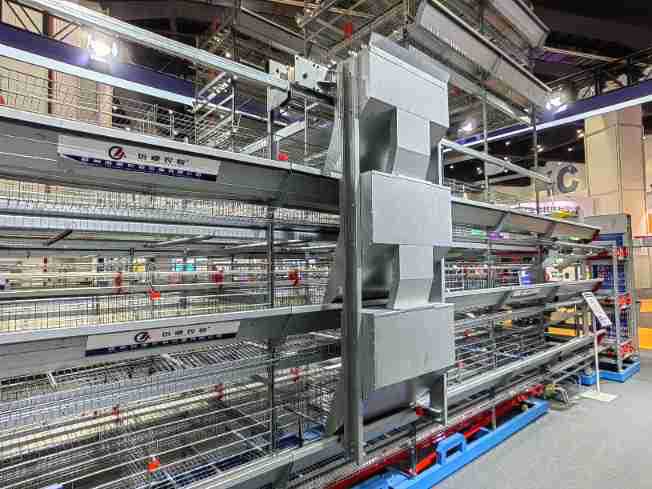 新型全自动阶梯式四层蛋鸡笼养殖场 陕西汉中蛋鸭自动养殖笼