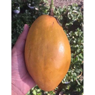 ̨�rһ̖������� �޽���J�۰�����������ٹ��箔��Y��