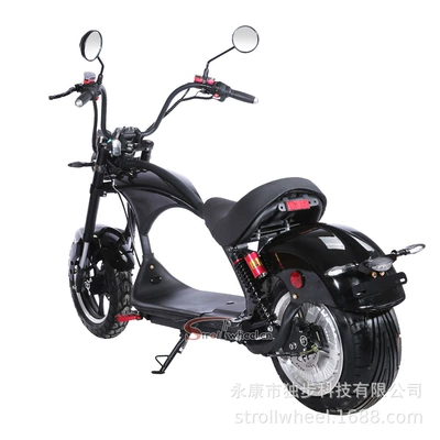 Elektrikli motosikletlər, Electric Motorcycle for Road