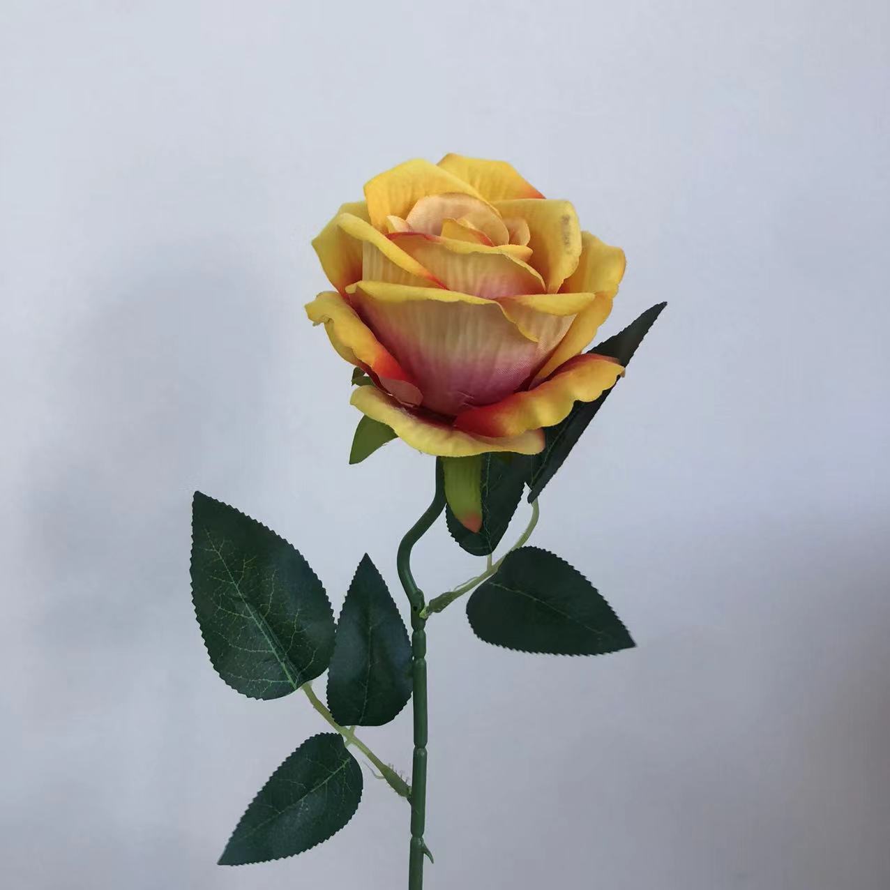 그라데이션 오렌지