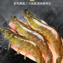 ���r�r���ك������ش�����r���r���rˮ�a���u�������r���r���r