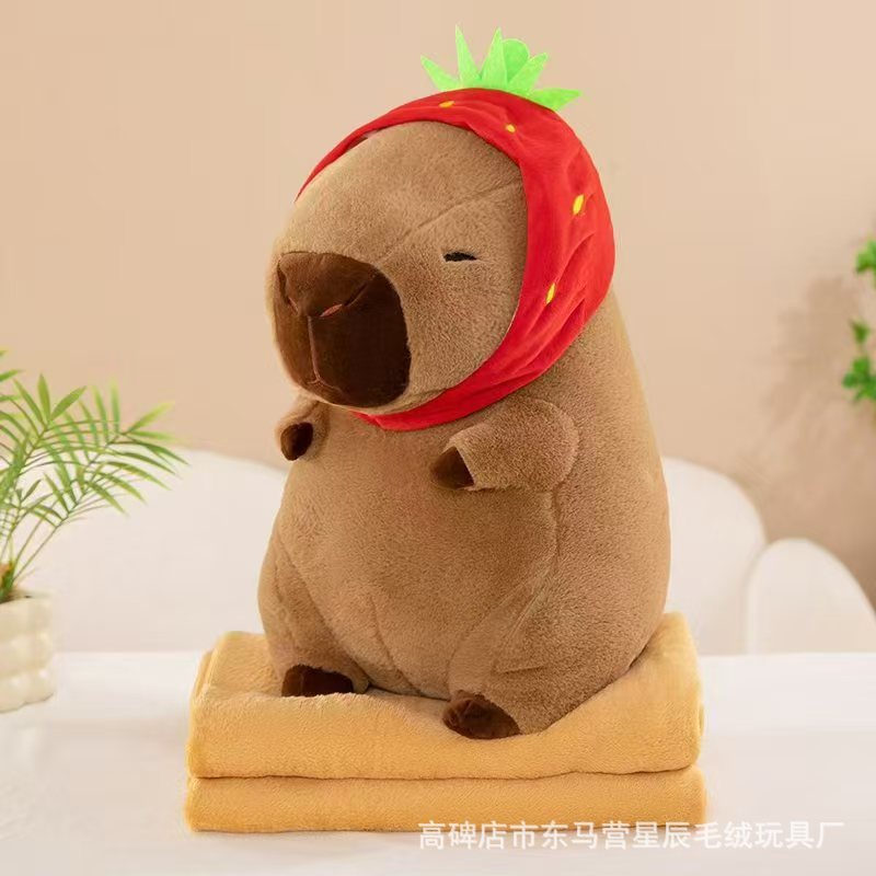 딸기 모자 카피바라