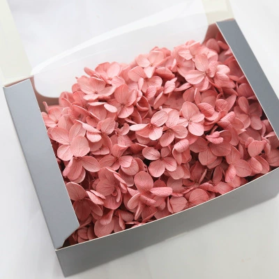 Вечной жизни глиняный горшок гимнастика 20G День Святого Валентина DIY цветочный материал Средняя лотос Строка Производитель оптом большой объем