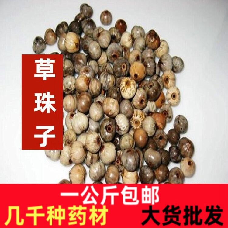 Bodhi Seed Beads Chinese Herbal Medicine Pendant Large Grass Beads Cervical Pillow Grass Beads Seeds Buddhist Beads Bracelet Chain