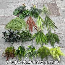 ��Gֲ�S�� 7�^�^�z�ָд������~ �����~���־��^�@�־Gֲ