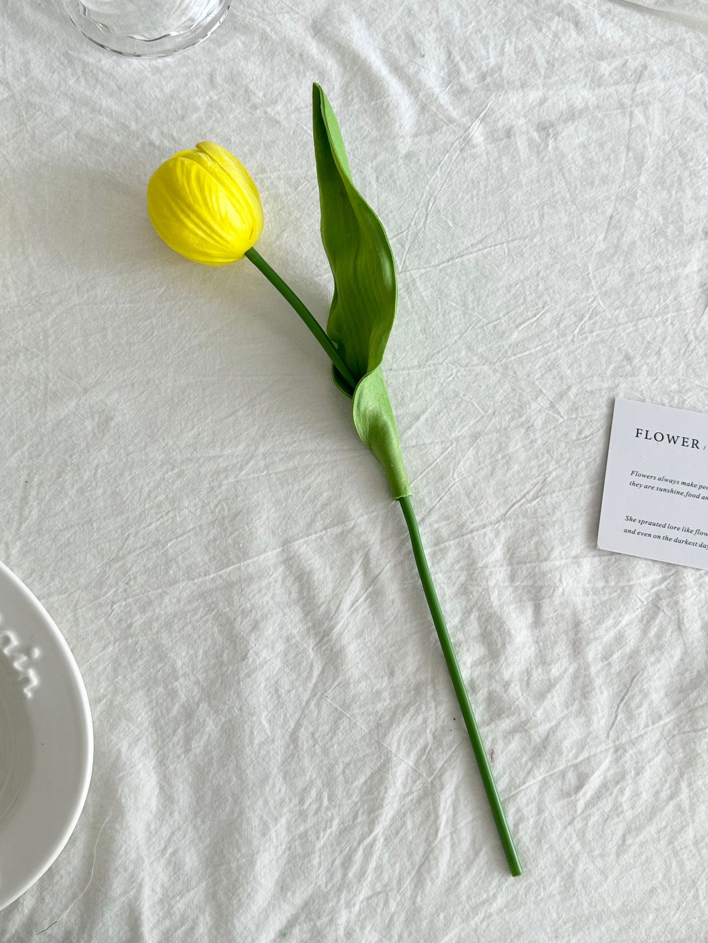 노란색 단일 튤립