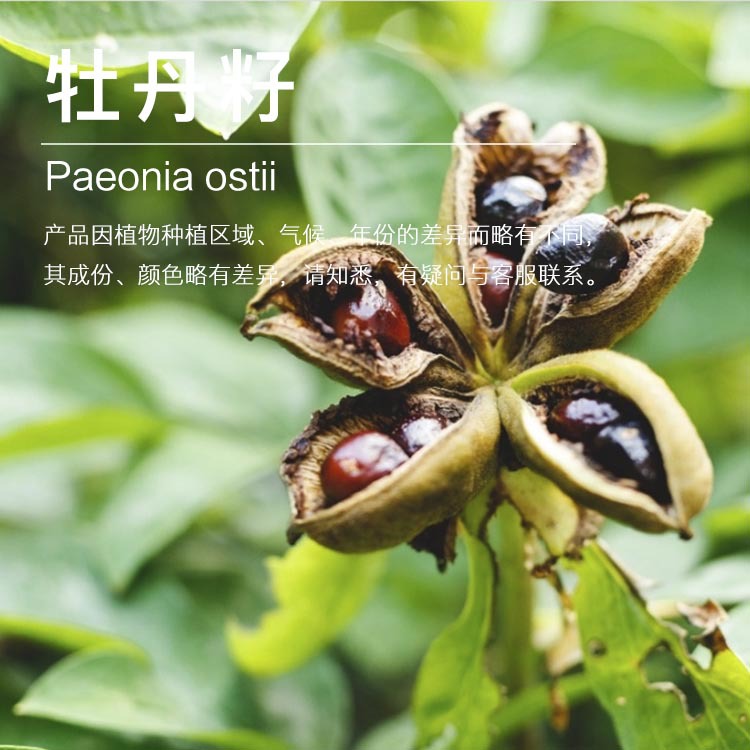 ���ҹ�Ӧĵ������ ��ե������ ����ĵ���������� ��ӭ��ѯ�ɹ�