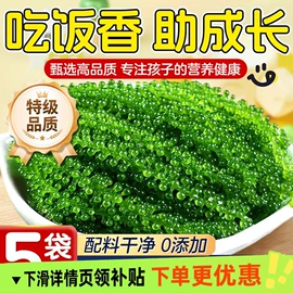 水产干货类;紫菜;海藻类