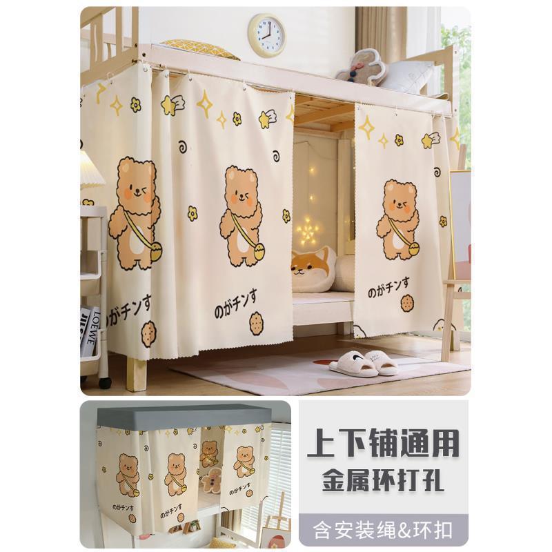 백패킹 베어 [고가성비 모델]