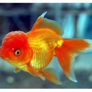 7-8���׽��~���w���@���~ ���@��~ С���~ ���~�� �^�p�~ ��ˮ�~