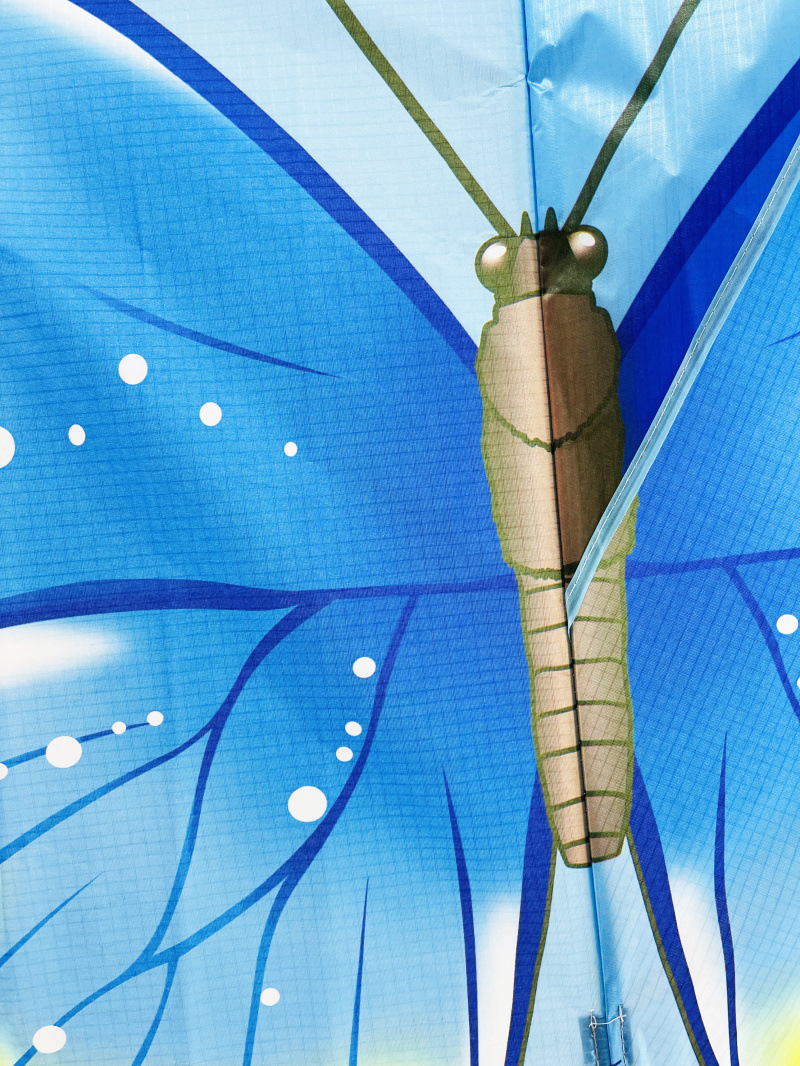 TD蝴蝶 宽145高98尾巴160厘米 (4).jpg