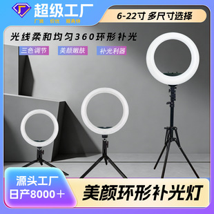 ֱ���a����h�Ο� ��������������ͫ�zӰ�������6��8��led