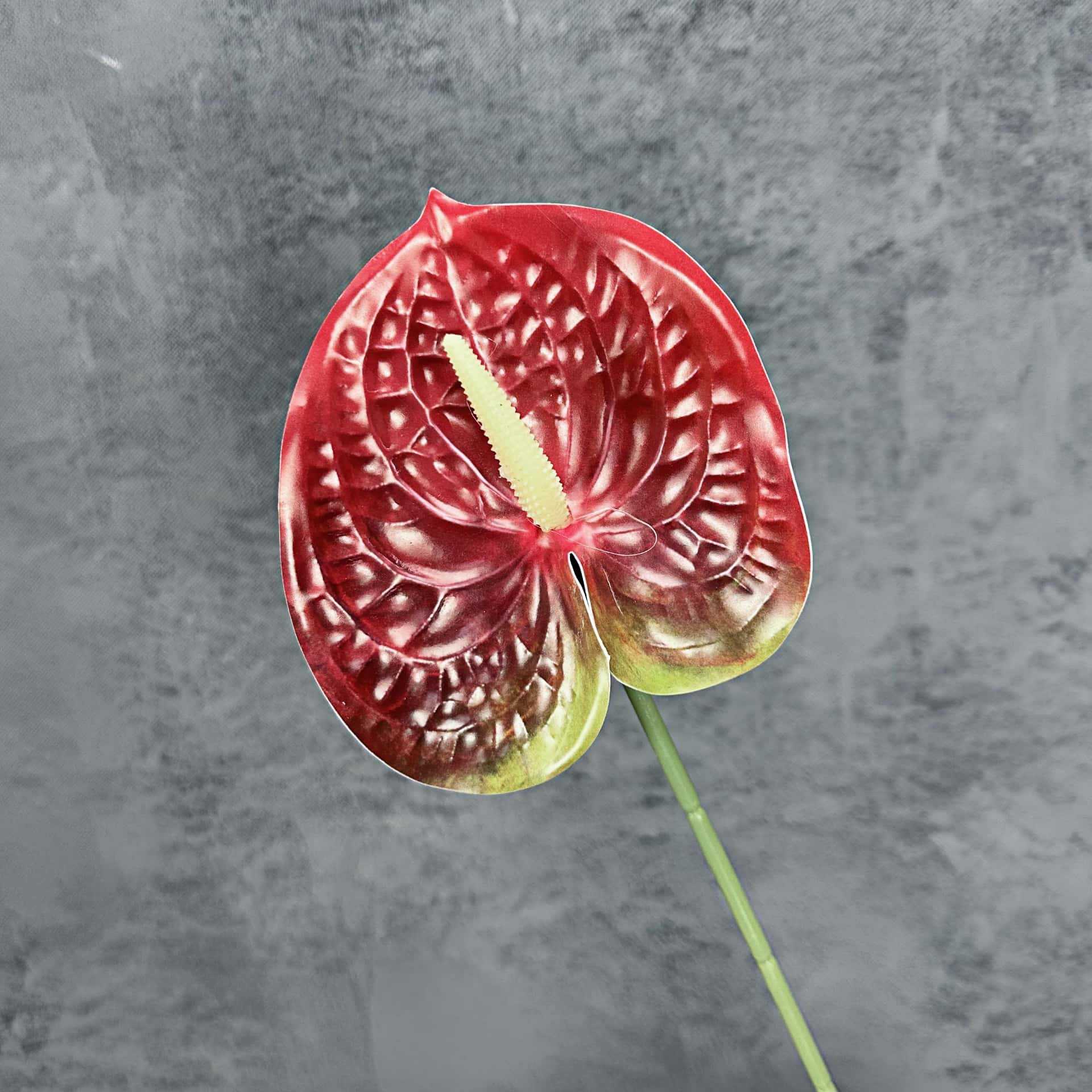 Decoración de Escenarios de Boda con Anturios Simulados, Decoración del Hogar, Accesorios de Fotografía, Adornos de Flores Artificiales en 3D para Venta al por Mayor