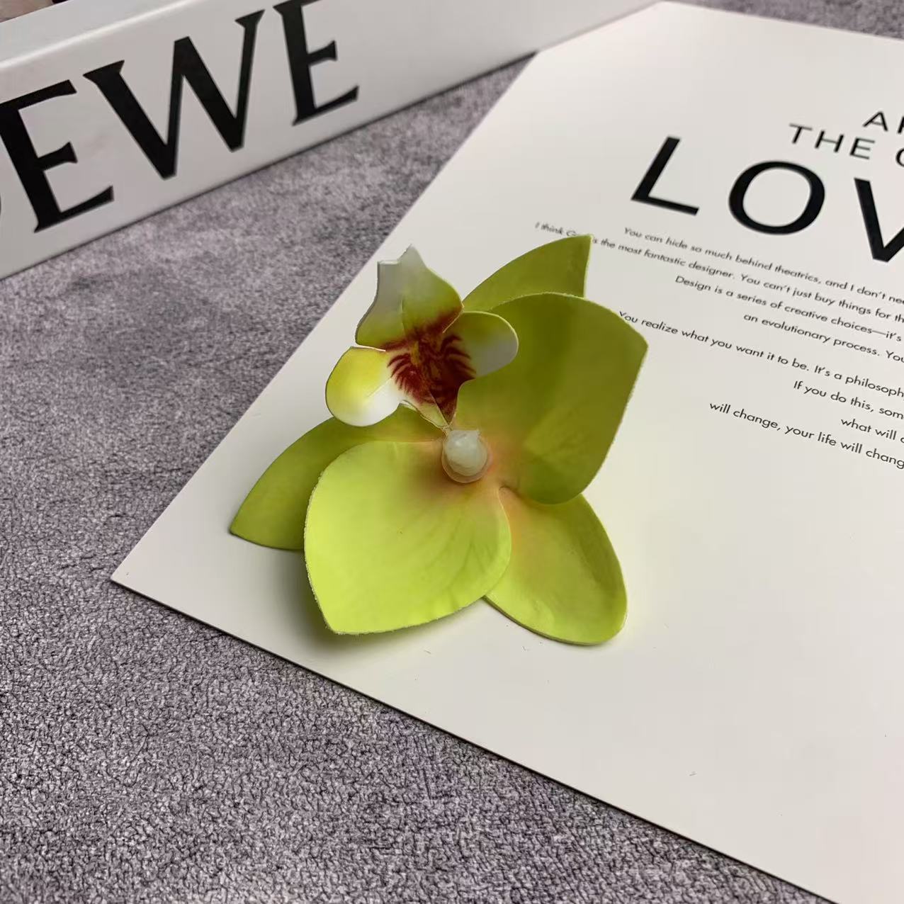 미니 호접란 꽃잎 녹색 1