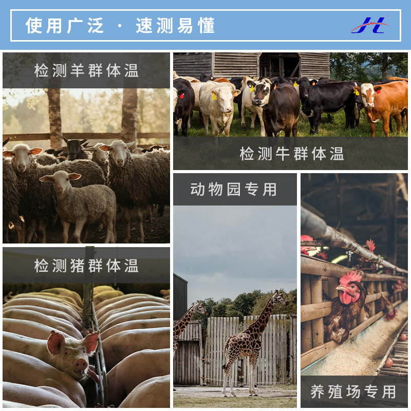 高精度動物測温器動物体温計動物測温銃DT-8838A|undefined