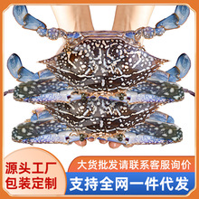 ����Ұ�������з �����m��з 200-300g/ֻ ���ò�����l