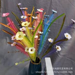 ���칷β�ͲݼҾ��Ĕz����ins�����JȔ��Y�b���ë�� ��ȸ�����l