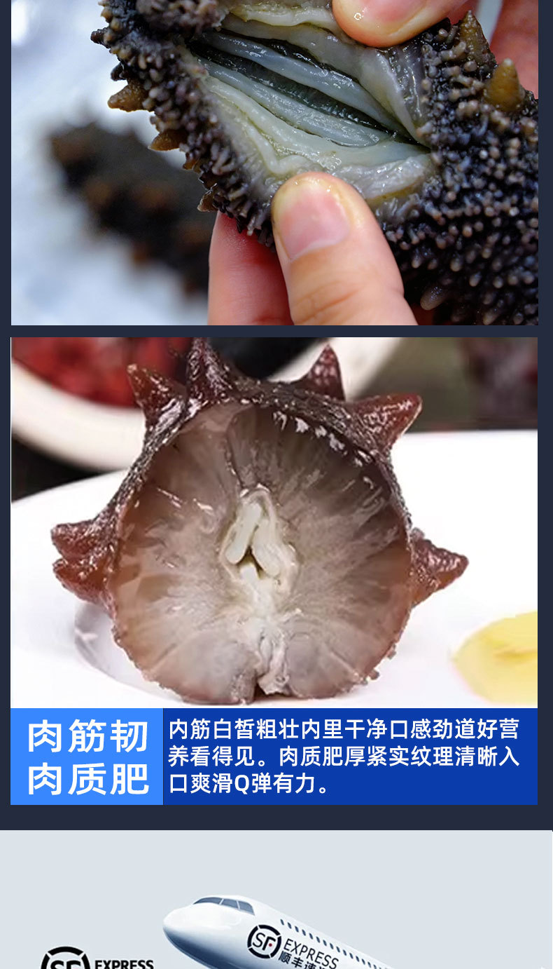 Dried Sea Cucumber Pure Lightly Dried Dalian Sea Cucumber Thick Flesh 50g quality and texture