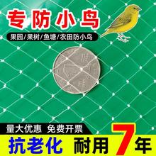 防鸟网果树果园防小鸟的网大棚尼龙线防乌网鱼塘阳台樱桃树葡萄树