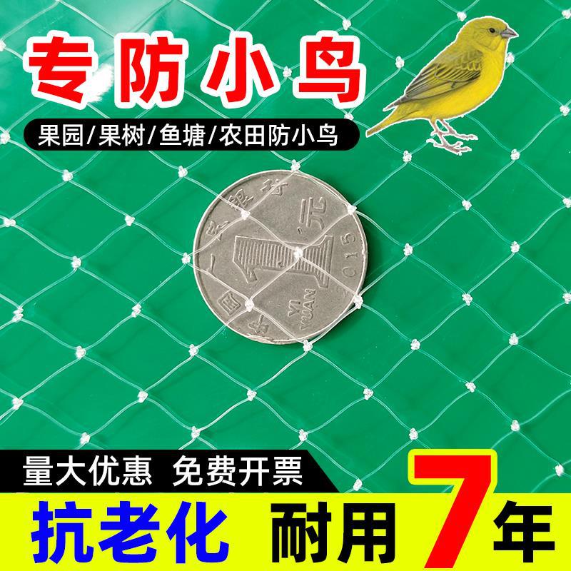 防鸟网果树果园防小鸟的网大棚尼龙线防乌网鱼塘阳台樱桃树葡萄树
