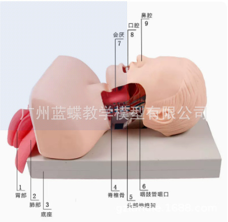 J50���˵������ܲ�ܽ�ѧģ�ʹ����� ���弱��ѵ�� ����ѹ�ȱ���