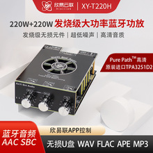 220W*2���ռ�������Ƶ���Ű�ģ��ߵ�������˫����������TPA3251