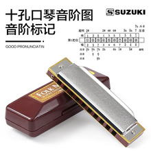 SUZUKI�ľ10�ײ���˹�������༉�{�{ʮ��C�{���W�߃�ͯ���T��ʿ