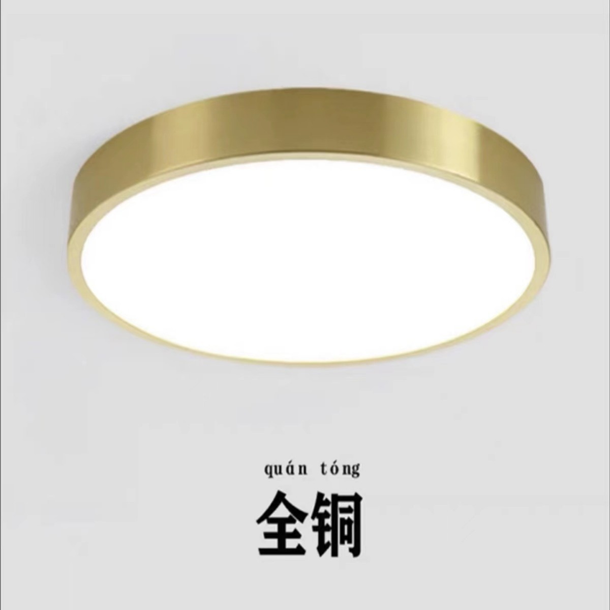 全铜吸顶灯别墅阳台门口户外卧室客厅走廊餐厅新中式超薄中山灯具