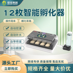 12ö���÷�����С�u��������u�������C���ݷ����Bֳ�O��ȫ�Ԅ�