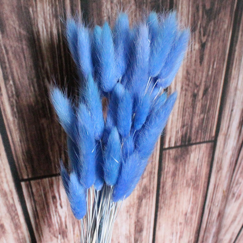 11868247664_511691582