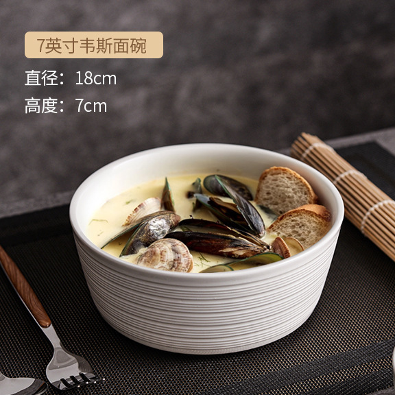 好看的盘子菜盘家用2025新款早餐盘高级感陶瓷吃饭碗汤面碗大号碗|undefined