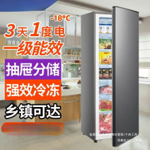 冰櫃箱小型冷櫃家用雙門立式全冷凍櫃單門118抽屜式減霜80%