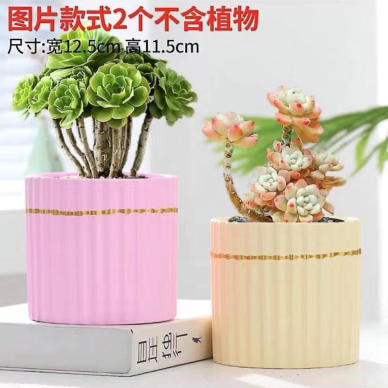 多肉植物の植木鉢セラミック漫画粗い陶器大皿古い杭かわいい通気性のある小さなセット組み合わせ屋内クリア Zhao Zhi Zheng|undefined