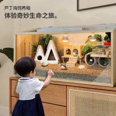 芦丁鸡仓鼠饲养箱育雏保温箱鸡笼别墅家用芦丁鸡宠物用品笼子批发