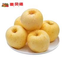 ��ؐ�Zɽ�|�S�{˹�S���O������4.5�� �й����rˮ�������֭Դ�^ֱ