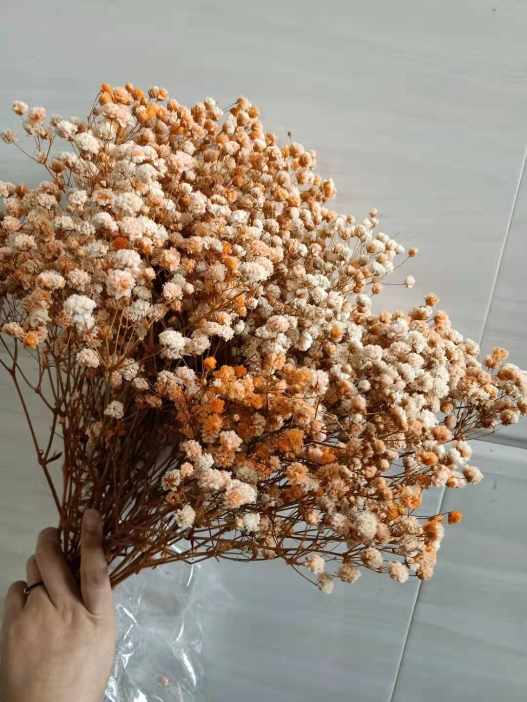 85ffbe0d68d2caed6a55accccfcf79