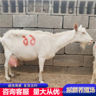 �_����ɽ�� �߮a��ɽ�� ɯ����ɽ�� ��ɽ���Bֳ��