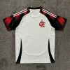2526 Flamenco away game