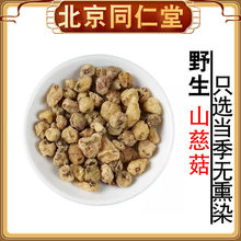 ���uҰ��ɽ�ȹ���؛������ɽ�ȹ�éë�ȹ�ɽ�Ĺ�����؛��