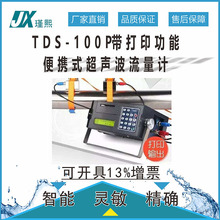 TDS-100P带打印功能便携式超声波流量计 便携式超声波流量仪无线