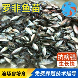 水产种苗