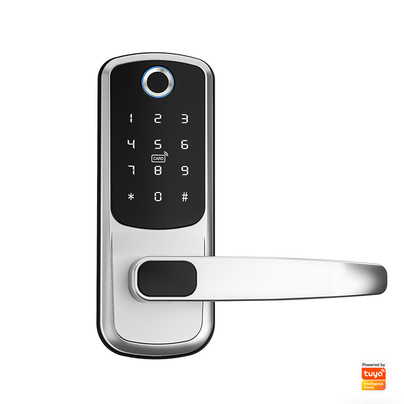 은색 지문 낙서 잠금 장치