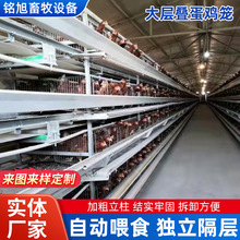 ȫ�Ԅ��B�u�O����ʽ��ӯB3��4�ӟ���\���u�\�A�ݿ��ʽ���u�\��