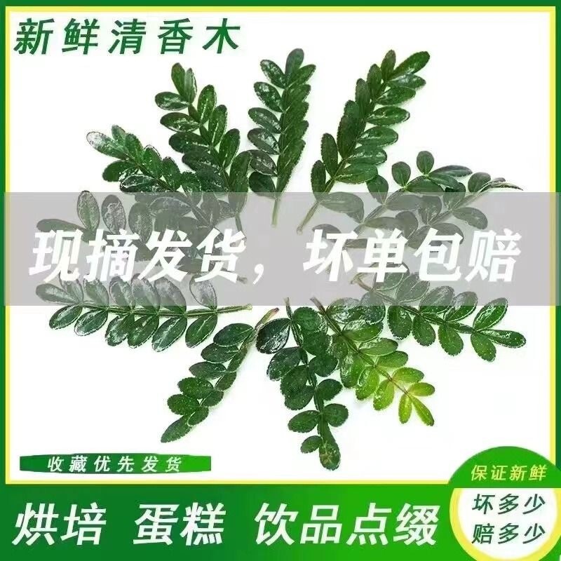 Fragrant Wood Cake Decoration Leaves Freshly Baked Plant Display Decoration Dessert Pepper Wood Potted Edible