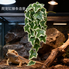 �~���쾰�ٗl���ɫ���~ˮꑾ���������ˮ��ֲ�����x��B��ˮ��