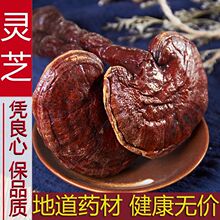 优选好货 灵芝长白山赤灵芝野生切片纯龙芝紫灵芝片林芝灵芝