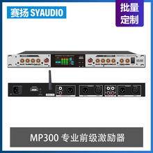 MP-300 专业前级激励器优化音质家用KTV演出娱乐蓝牙USB播放器