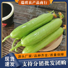 ���ں�ꖰ����S��5�����rˮ���Fժ���԰��S�Ϯ�������С�S�����